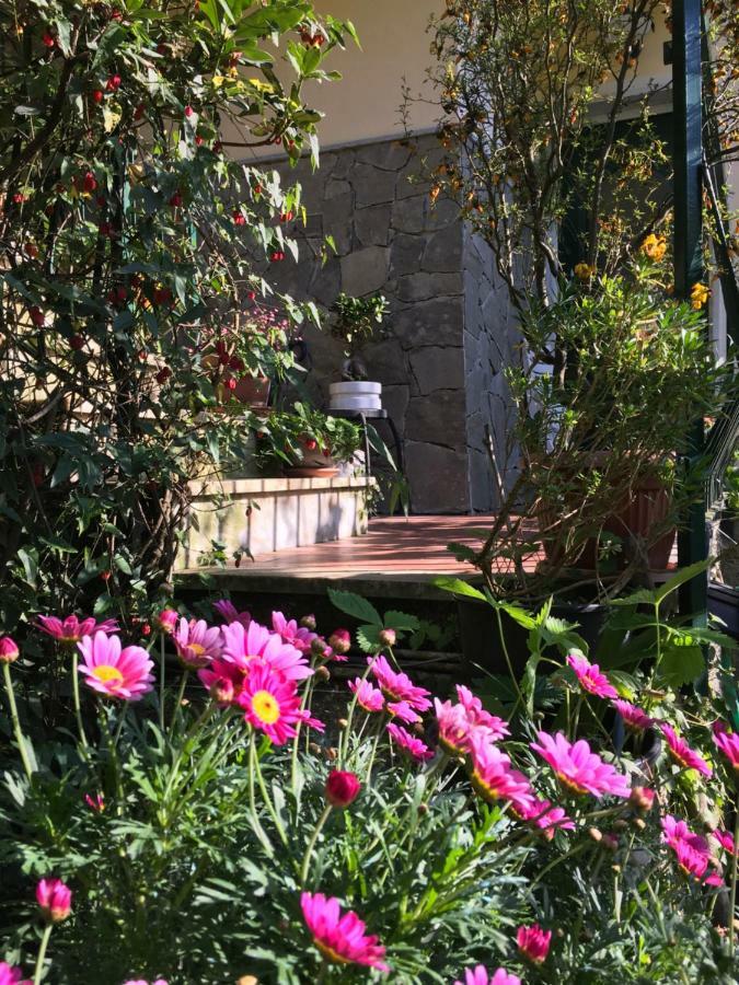Il Nido Della Rondine Bed and Breakfast Leivi Exterior foto